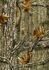HILLMAN BIRDER PANTS